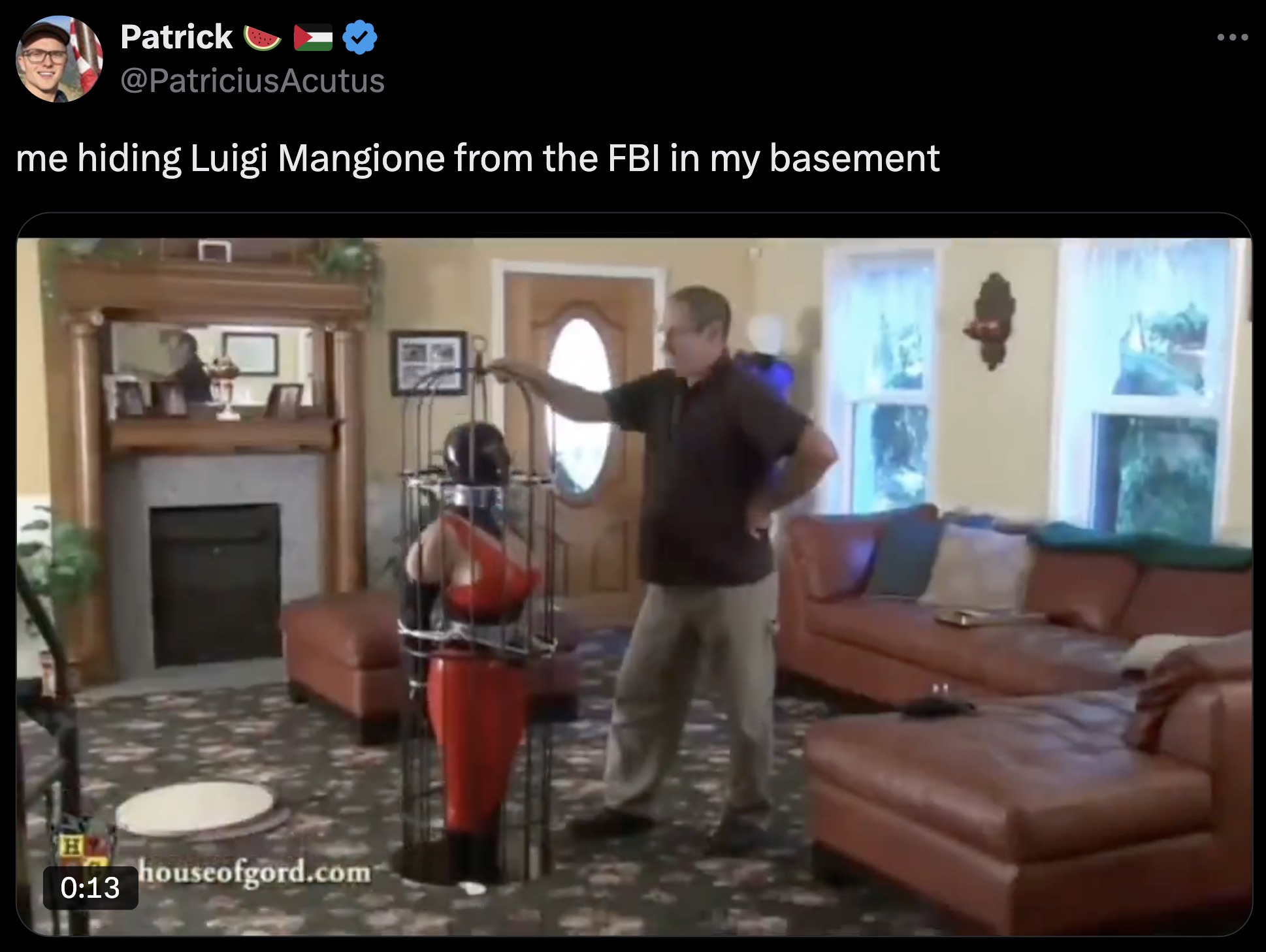 screenshot - me Patrick hiding Luigi Mangione from the Fbi in my basement H houseofgord.com